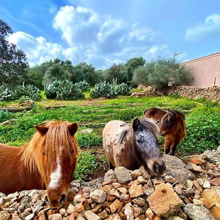 Finca Agroturismo Sa Cova Den Borino 坎波斯 外观 照片