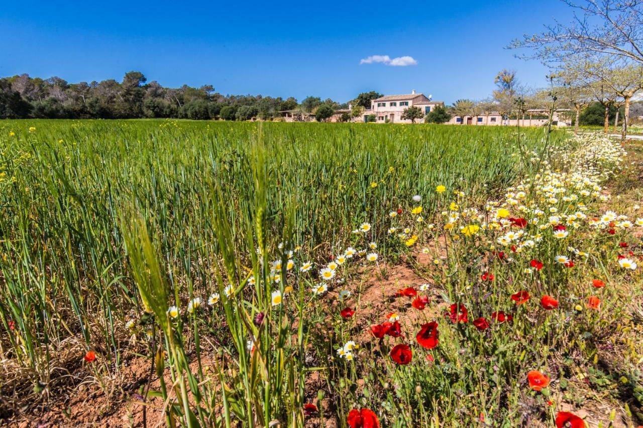 Finca Agroturismo Sa Cova Den Borino 坎波斯 外观 照片